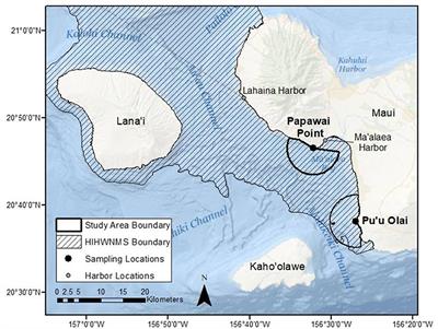 The Impact of Vessels on Humpback Whale Behavior: The Benefit of Added Whale Watching Guidelines